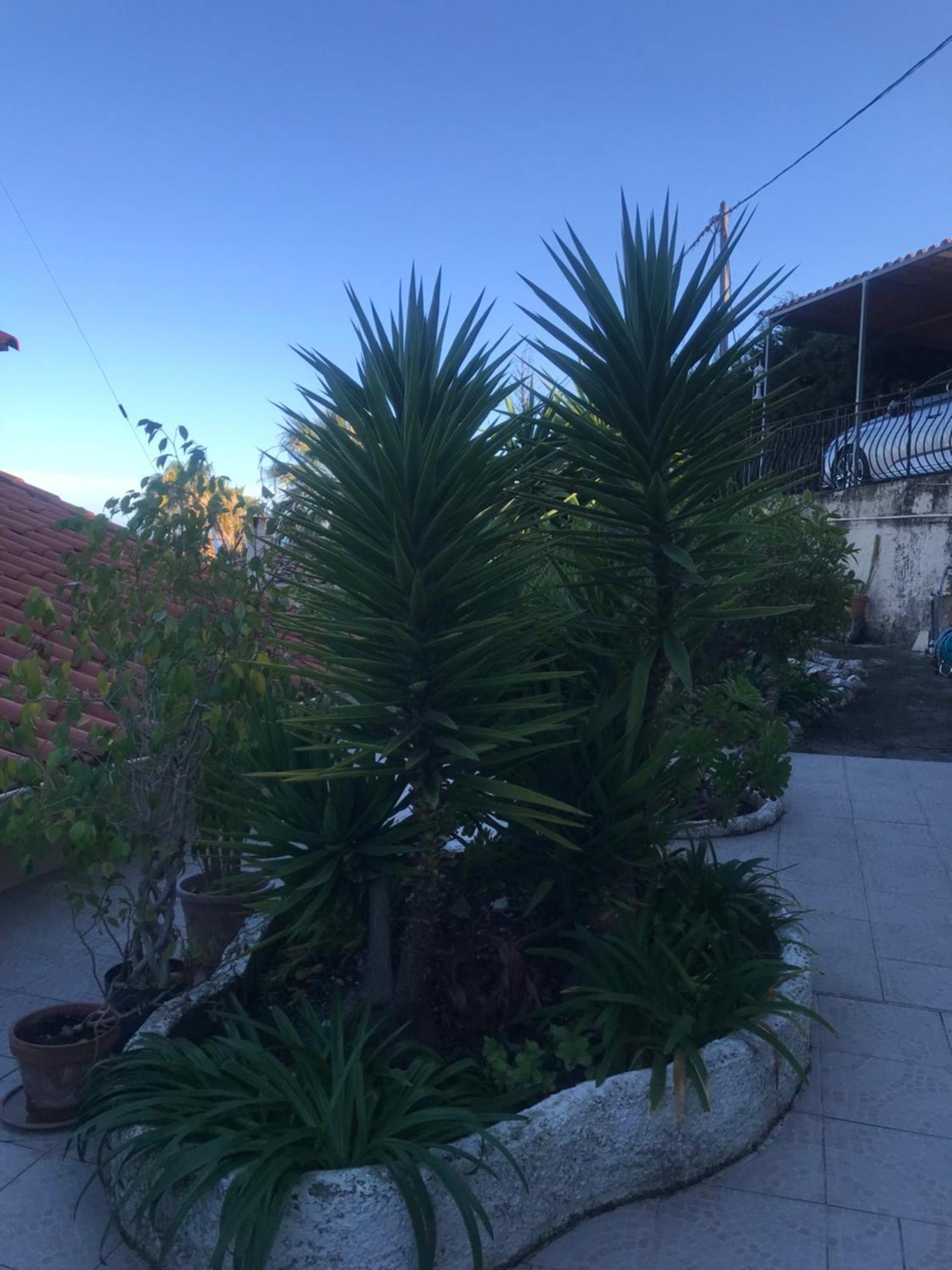 Appartement Villa Toit Terrasse Menton Extérieur photo
